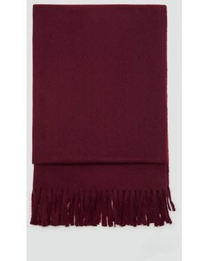 Mango Fringed Edge Scarf - Purple