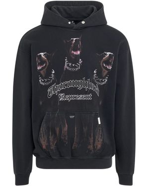 Represent Thoroughbred Hoodie, Long Sleeves, 100% Cotton, Size: Small - Black
