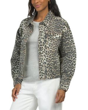 Marshalls Jacket For - Gray