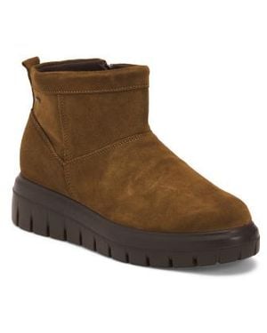 Marshalls Suede Booties For - Brown