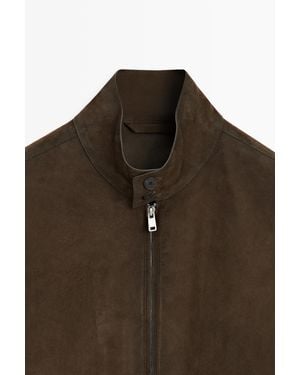 MASSIMO DUTTI Suede Leather Jacket - Brown