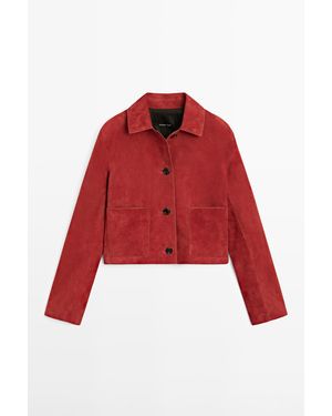 MASSIMO DUTTI Kort Suède Leren Jack - Rood