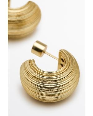 MASSIMO DUTTI Raised Detail Hoop Earrings - Metallic