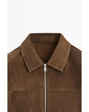 MASSIMO DUTTI Suede Leather Zip-Up Jacket - Brown