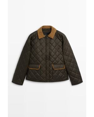 MASSIMO DUTTI Kort Gewatteerd Jack Van Leercombinatie - Blauw