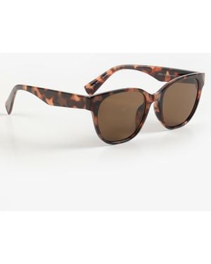 maurices Tortoise Cateye Square Sunglasses - Brown