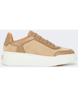 スニーカー MAX MARA Woman Sneakers Brown 2514761011600 009 Shoes Sneakers Woman | Max Mara