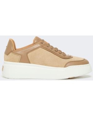 Max Mara Urban Suede Sneakers - White
