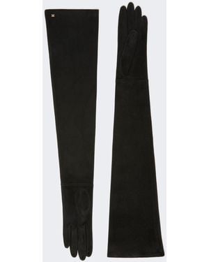 Max Mara Masestremo Gloves - Black