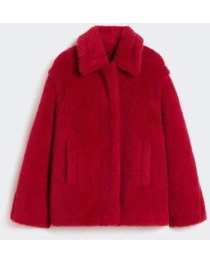Max Mara Cropped Teddy Coat - Red