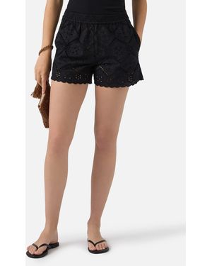 MC2 Saint Barth Meave Broderie Anglaise Shorts Pant - Black