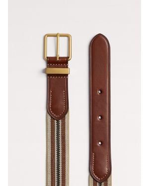 ME+EM Classic Elastic Webbing Belt Natural Chestnut - Multicolour
