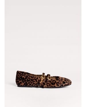 ME+EM Round Toe Ballerina - Brown