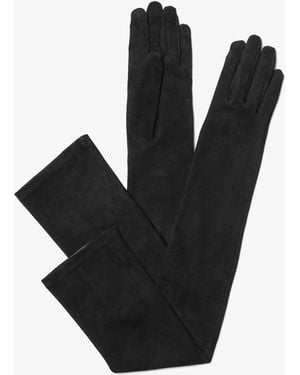 Michael Kors Michael Kors Suede Opera Gloves - Black
