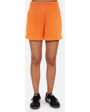 Michael Lauren Kardell Birkin Orange