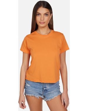 Michael Lauren Darth Birkin Orange