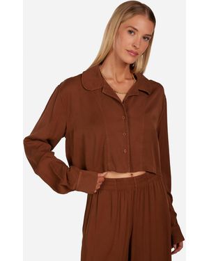 Michael Lauren Ignatius Cinnamon - Brown