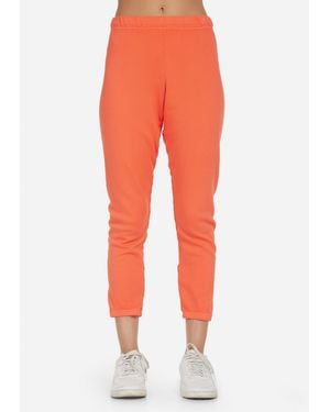 Michael Lauren Nate Zing - Orange