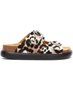 Scholl Noelle Slide - Bruin