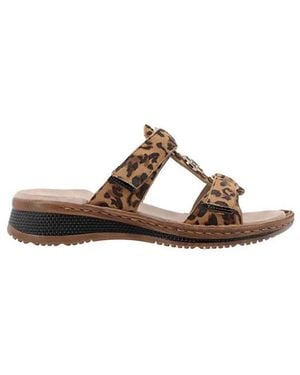 Ara Hawaii 2.0 - Bruin