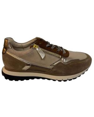 Gabor Sneakers - Marron
