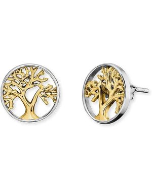Engelsrufer Tree Of Life Stud Earrings - Metallic