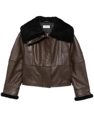 Sportmax Spssalve Cropped Shearling Collar Jacket - Bruin