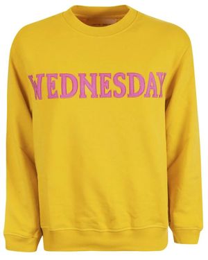 Alberta ferretti weekday sweater discount