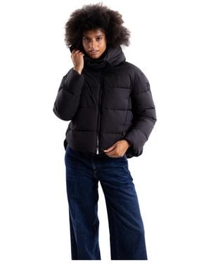 Pinko Korte Puffer Jas - Blauw