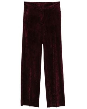 Antonelli Straight Trousers - Viola
