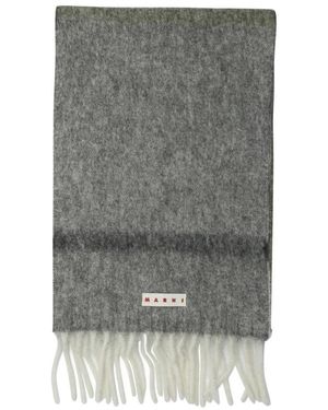 Marni Winter Scarves - Gris