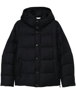 Montecore Winter Jackets - Black