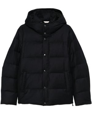 Montecore Winter Jackets - Black