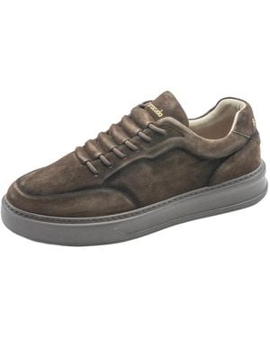 Barracuda Schoenen ,Bruin ,Suède Phoenix