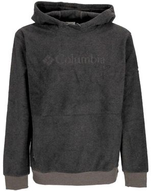 Columbia Kohle Heather Hoodie Mit Kordelzugkapuze - Grau