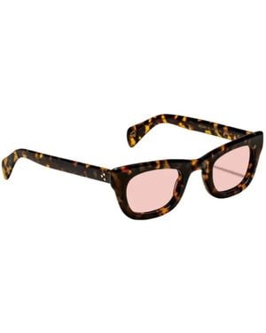 Moscot Sunglasses - Brown
