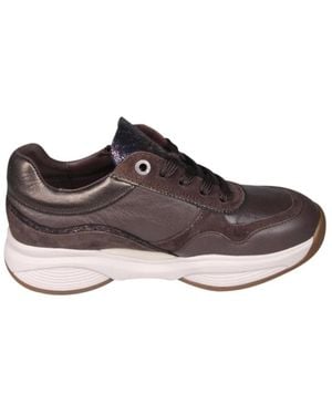 Xsensible Sneakers - Marron