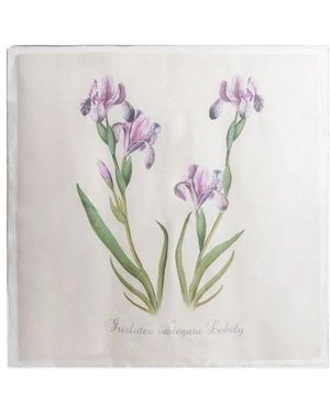 Alberta Ferretti Silk Scarves - White