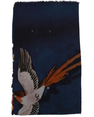 D'Aniello Winter Scarves - Azul