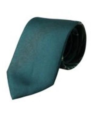Dolce & Gabbana Ties - Green