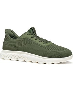 Geox Sneakers - Verde