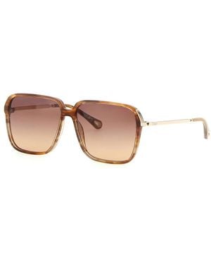 Chloé Oversized Square Sonnenbrillen - Braun