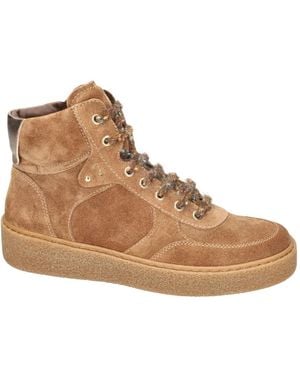 Nero Giardini Etoile Leo High Sneaker - Bruin