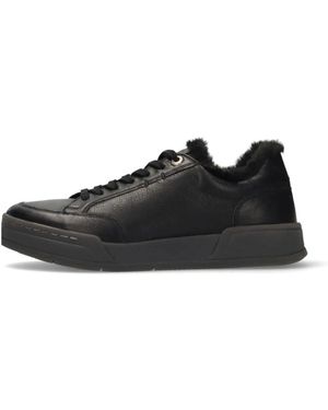 Salamander Sneakers - Negro