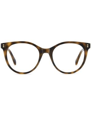 Polaroid Glasses - Brown