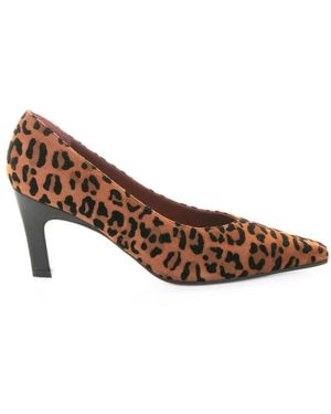 Roberto Festa Pumps Mit Leopardenmuster Und Spitzer Zehenpartie - Braun