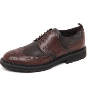Tod's Laced Shoes - Brown