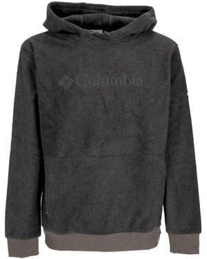 Columbia Hoodies - Gris