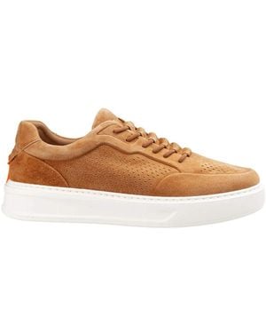 Barracuda Phoenix Slip-On Sneaker - Bruin