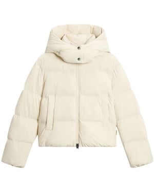 Woolrich Winter Jackets - Neutro